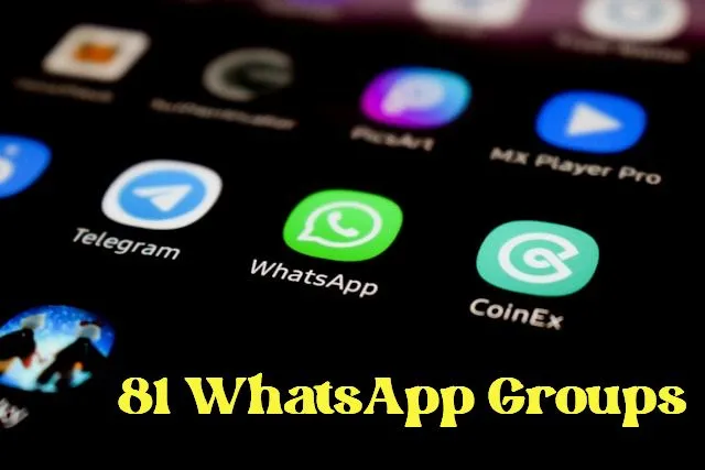 81 WhatsApp Group Link