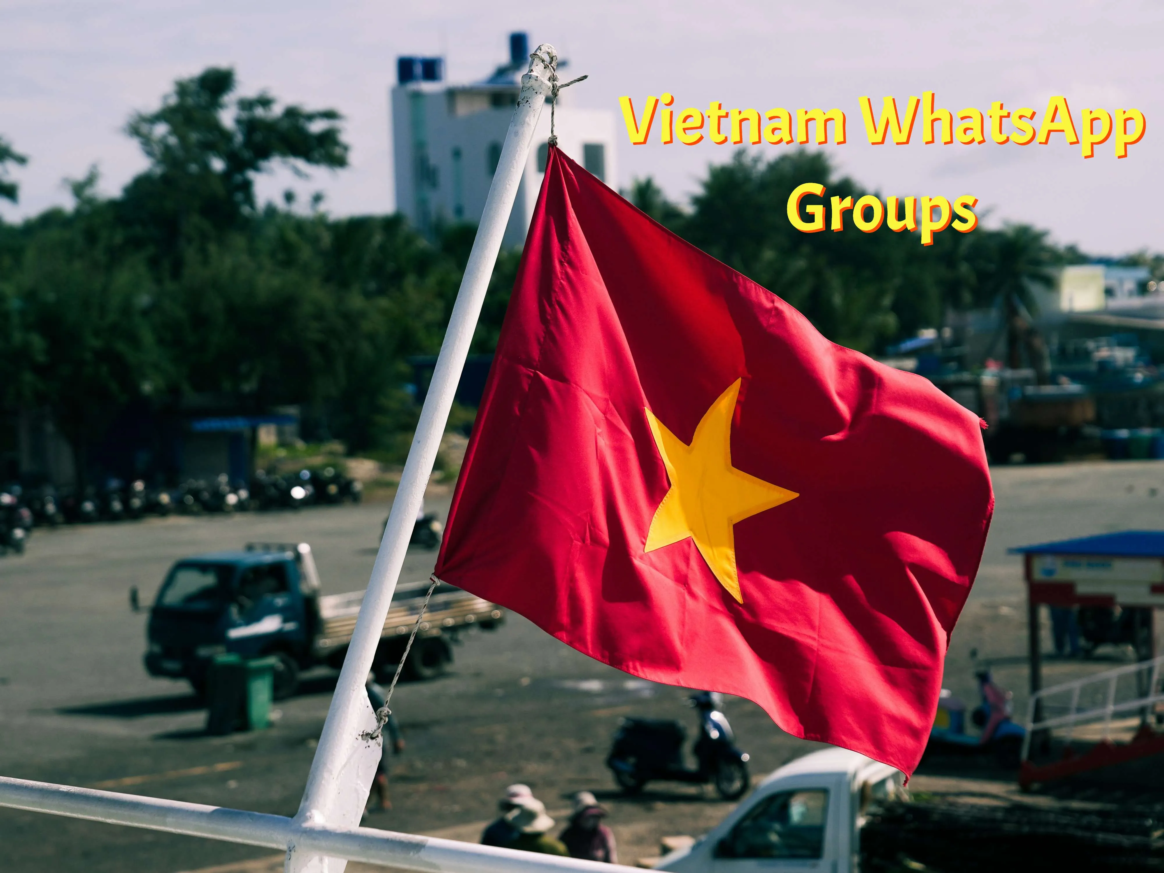 Vietnam WhatsApp Group Link