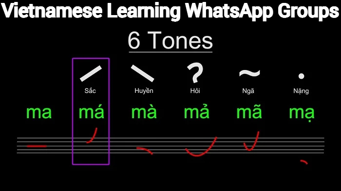 Vietnamese Learning WhatsApp Group Link