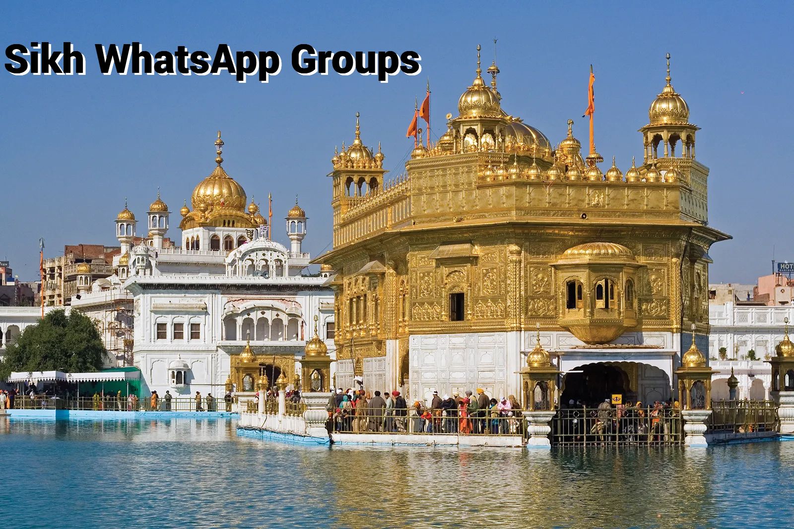 Sikh WhatsApp Group Link