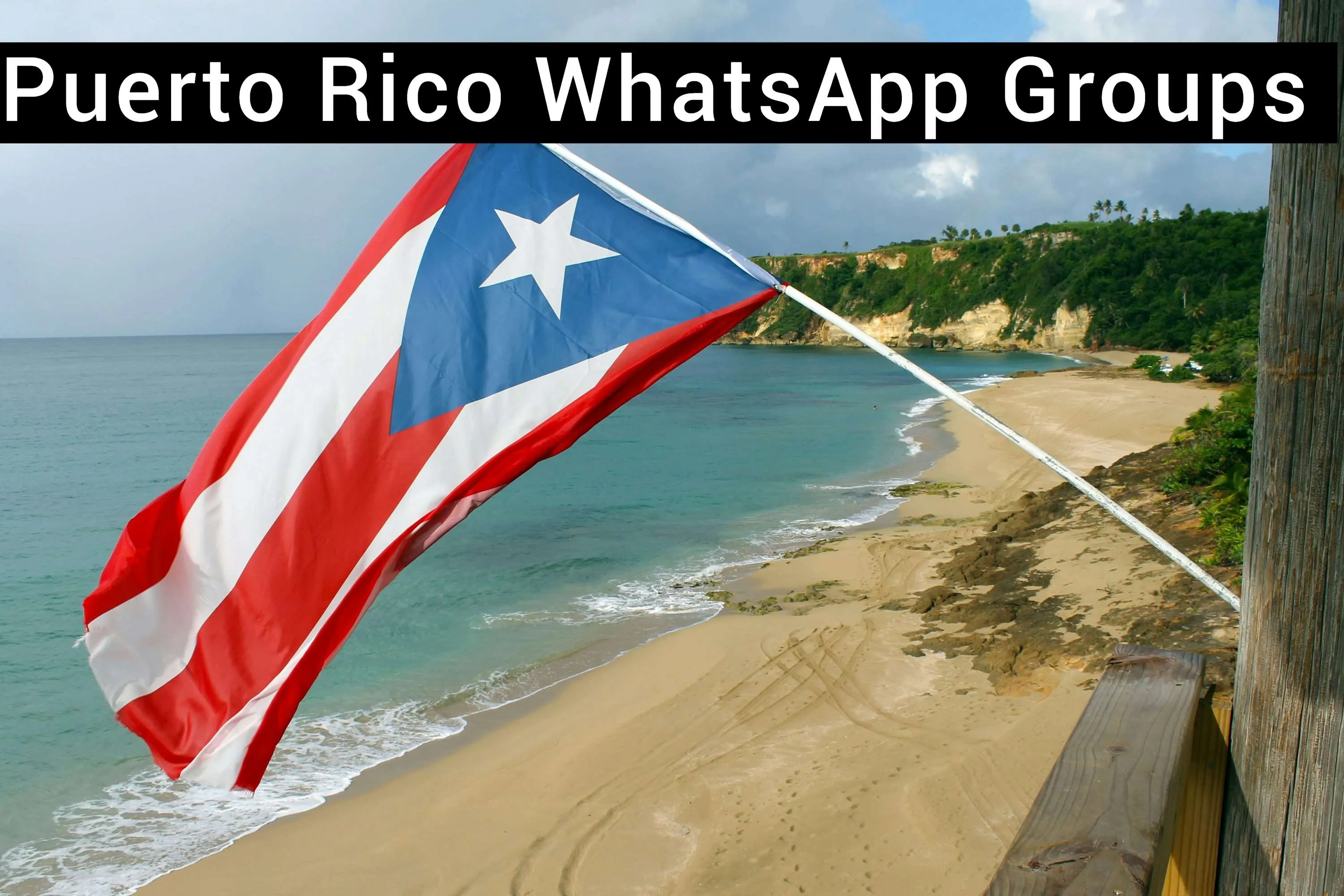 Puerto Rico WhatsApp Group Link