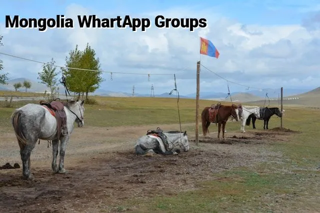 Mongolia WhatsApp Group Link