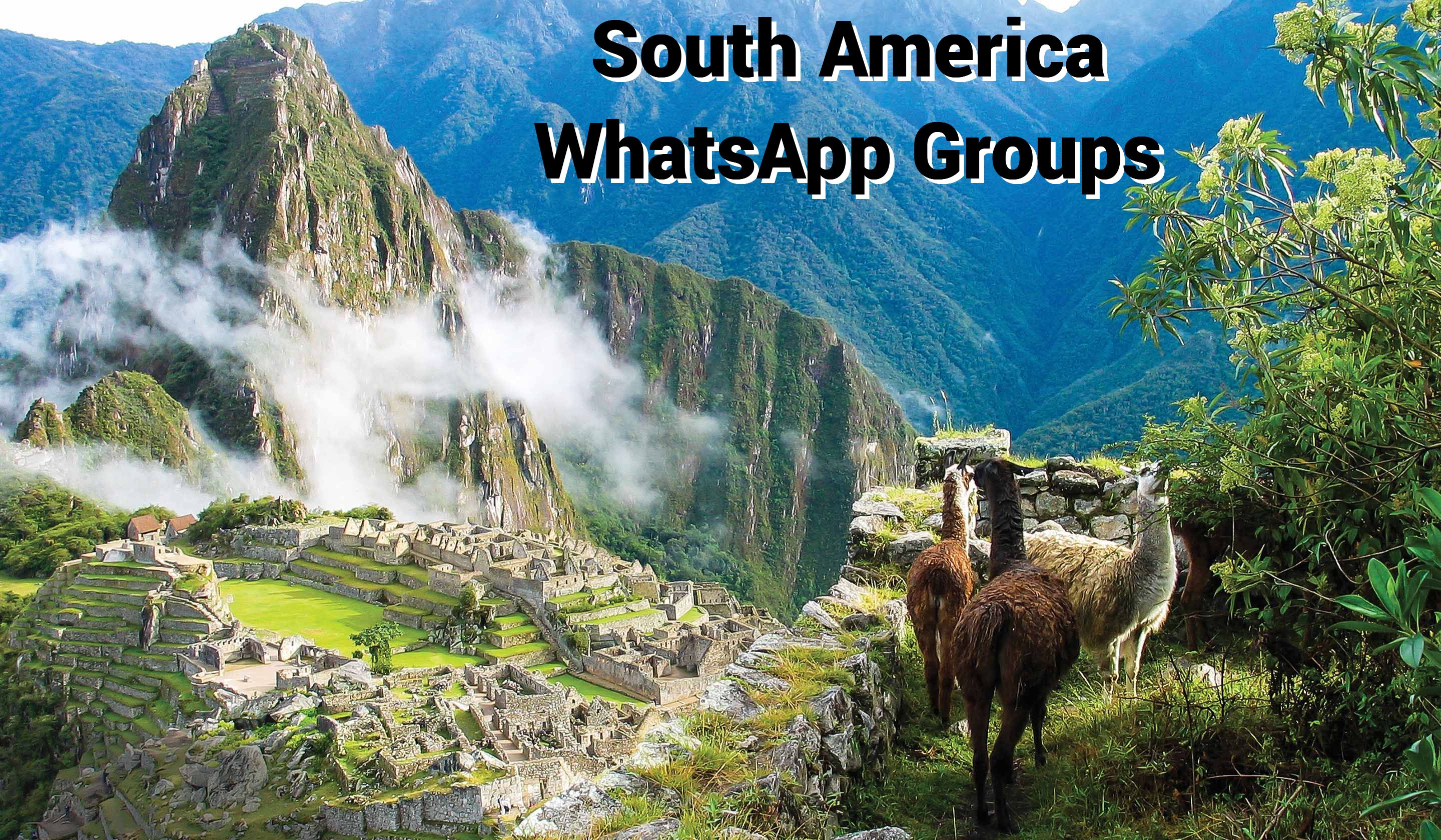 South America WhatsApp Group Link