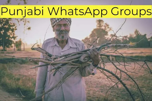 Punjabi WhatsApp Group Link
