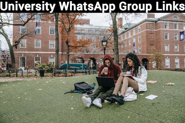 University WhatsApp Group Link